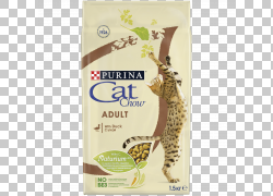 Cat Food KittenѼ,èPNG