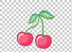 Cherry Fruit Cerasus,ӣPNG