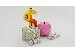 粉色小猪金融货币图片