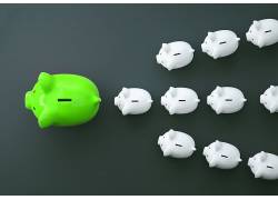 绿色小猪白色小猪储钱罐图片