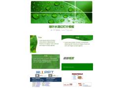 绿色清新的叶子水滴PPT模板