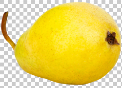 Citron Lemon Pyrus nivalis L