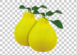 Citron PomeloCitru