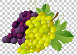 Grapevines stock.xchng,ʻ